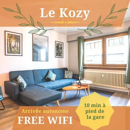 Le Kozy - Wifi - Centre Ville - Proche Commerces 萨尔堡 外观 照片